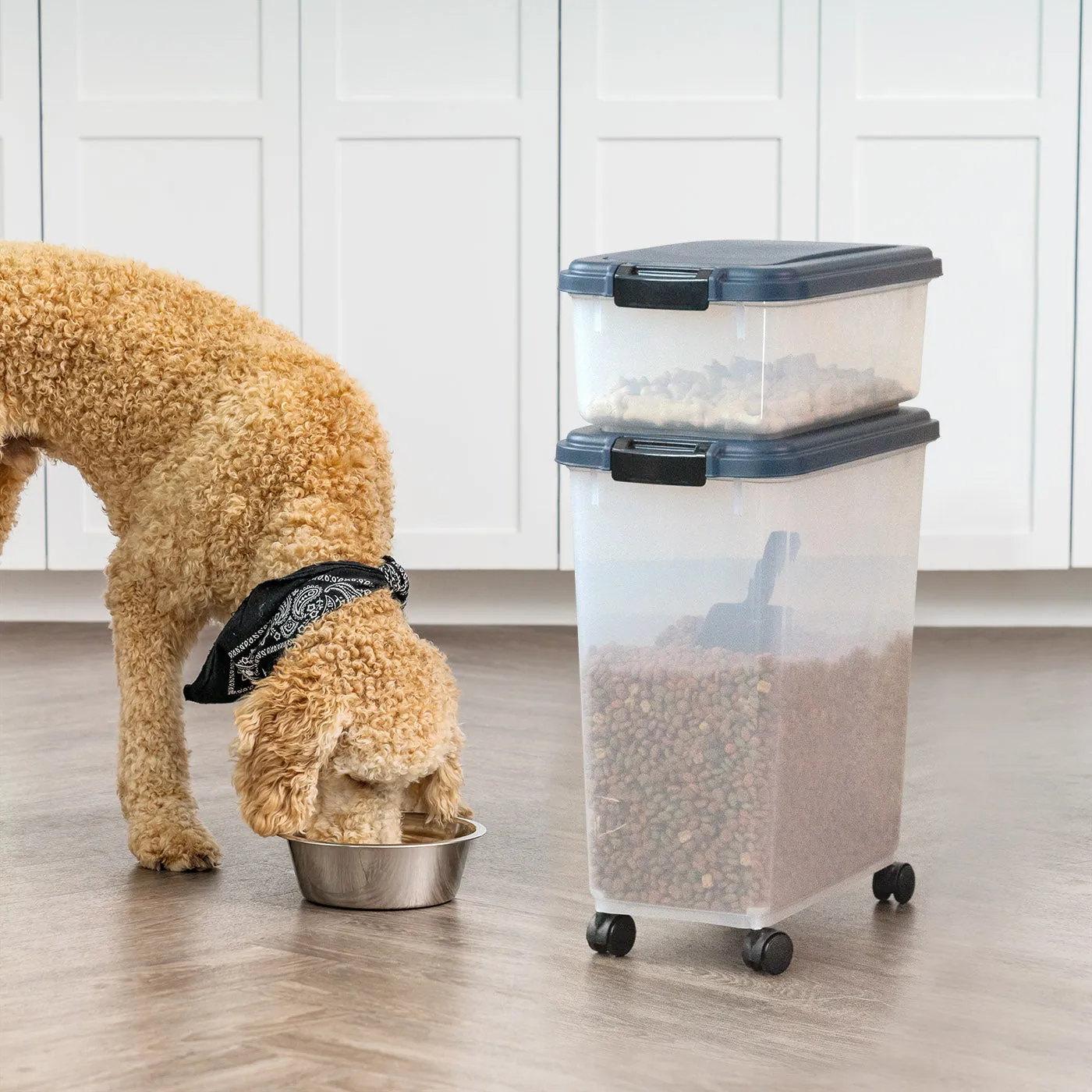 3-Piece WeatherPro® Airtight Pet Food Container Combo, Navy