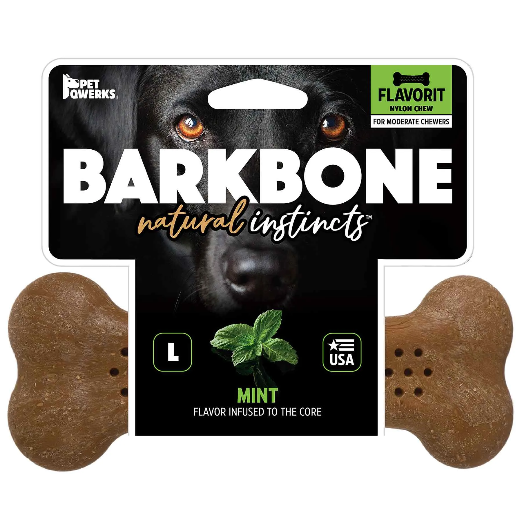 BarkBone Natural Instincts Mint Wood Flavorit Nylon Dog Chew