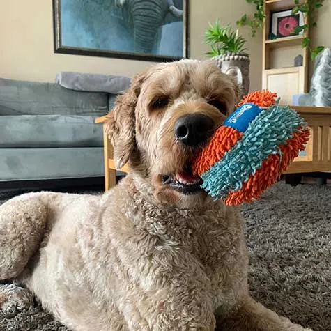 Chuckit! Indoor Roller Dog Toy