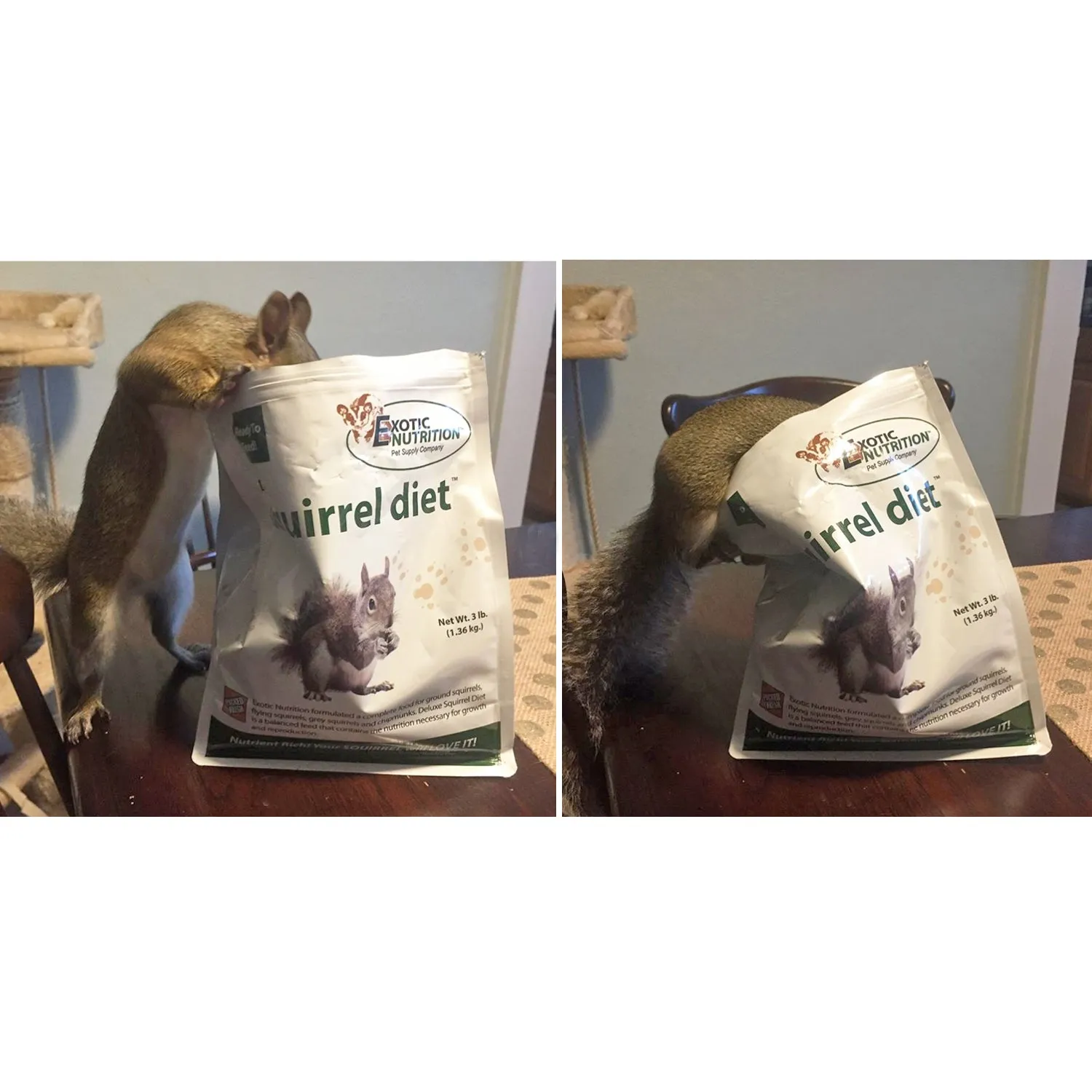 Deluxe Squirrel Diet 2 lb. Squirrel Food