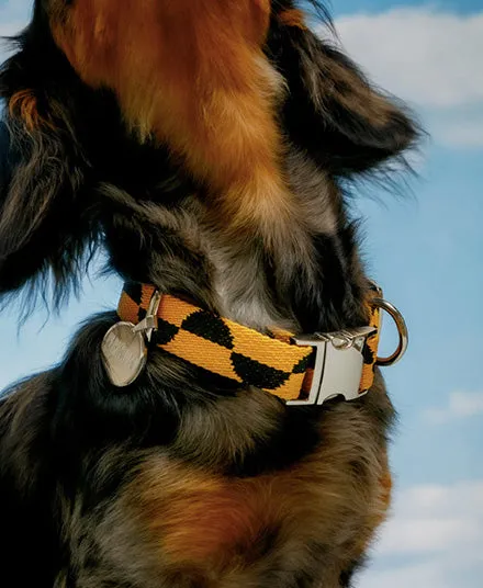 Dog Collar, Half Moon