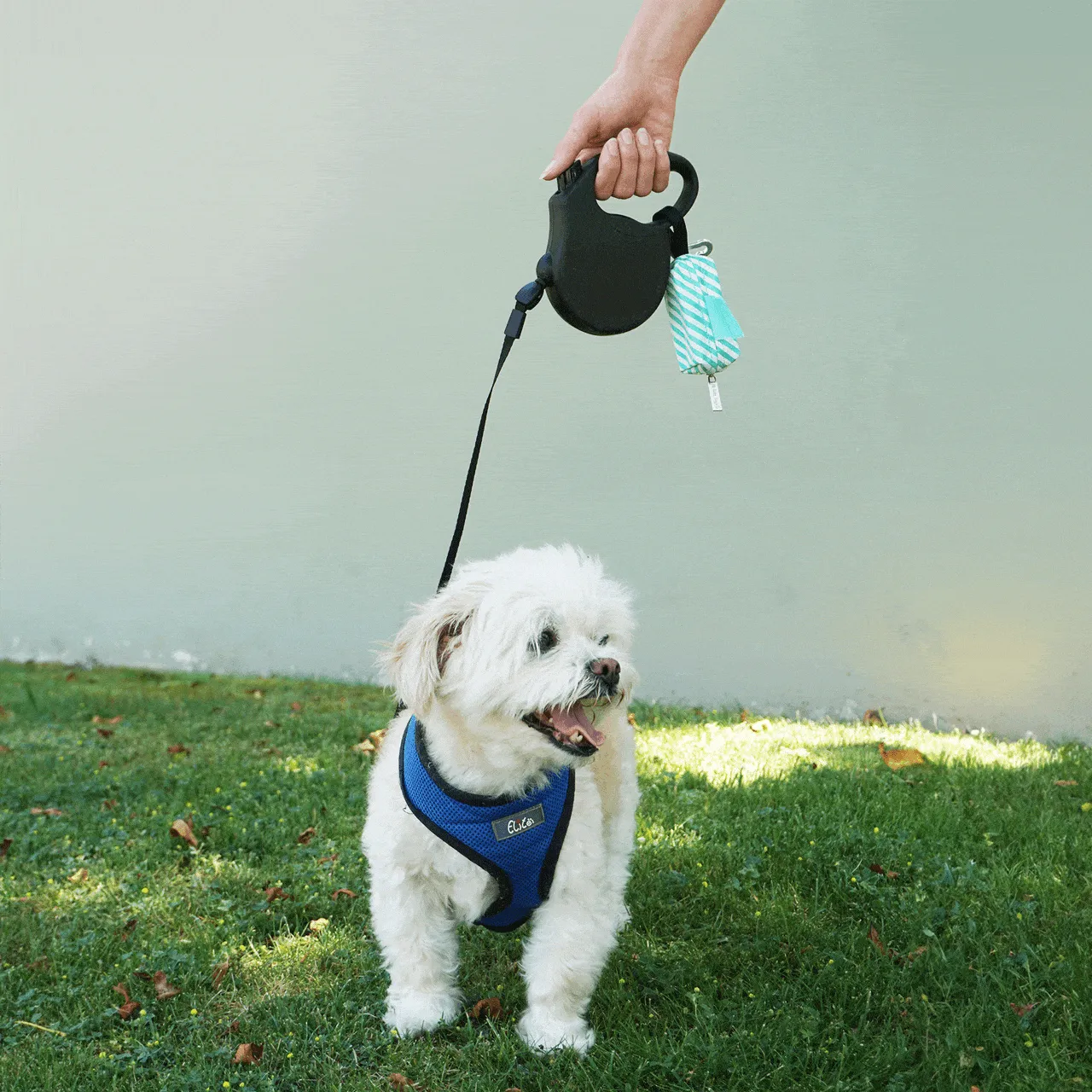 Doggie Walk Bags Seafoam Stripe Duffel Dog Poop Bag Holder