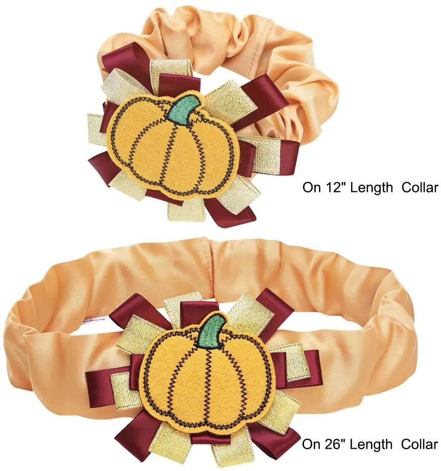 Fall Pumpkin Thanksgiving Dog Collar Cover Accessory