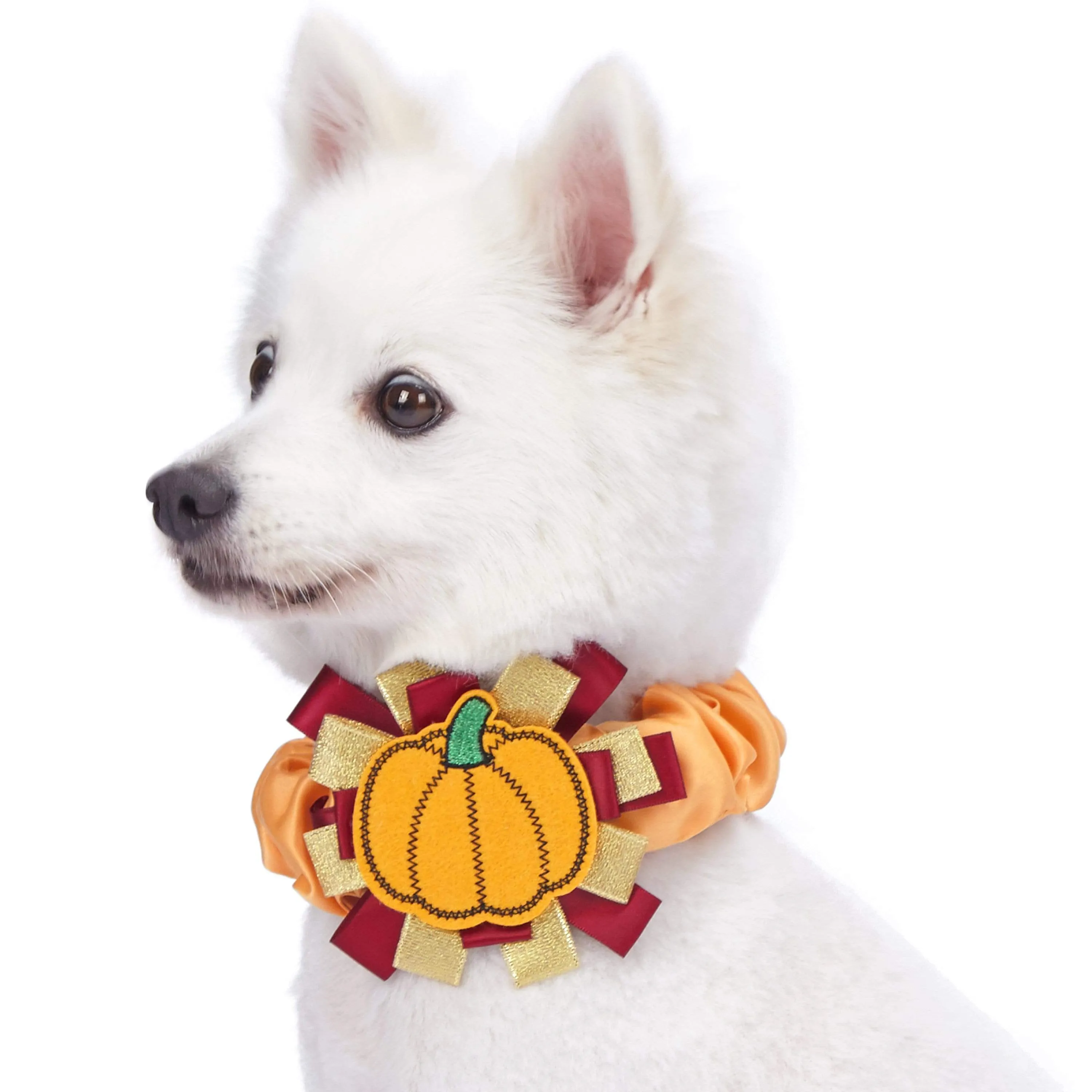 Fall Pumpkin Thanksgiving Dog Collar Cover Accessory