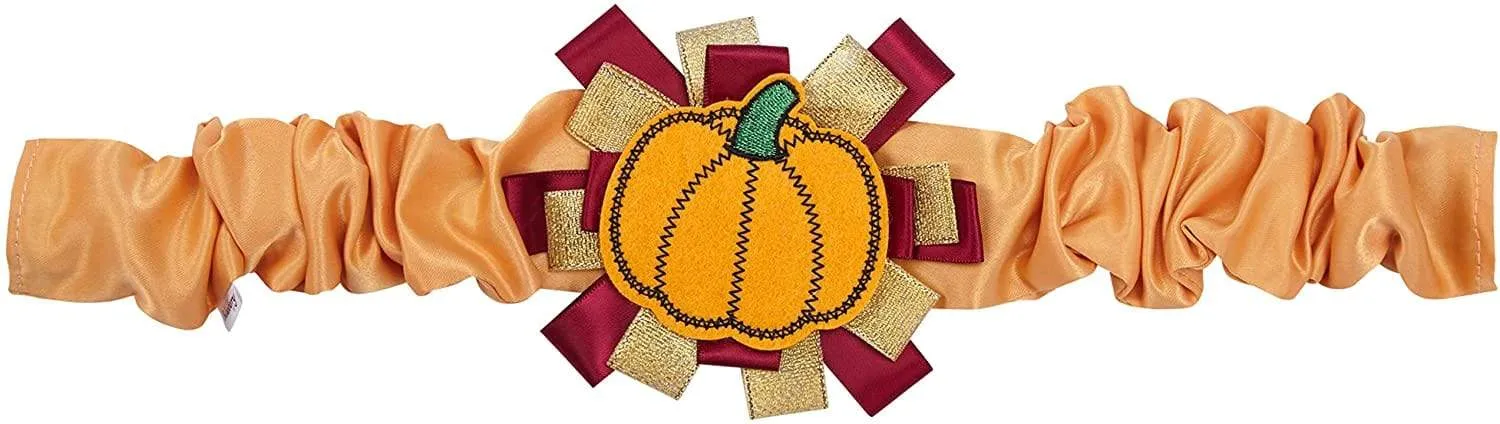 Fall Pumpkin Thanksgiving Dog Collar Cover Accessory