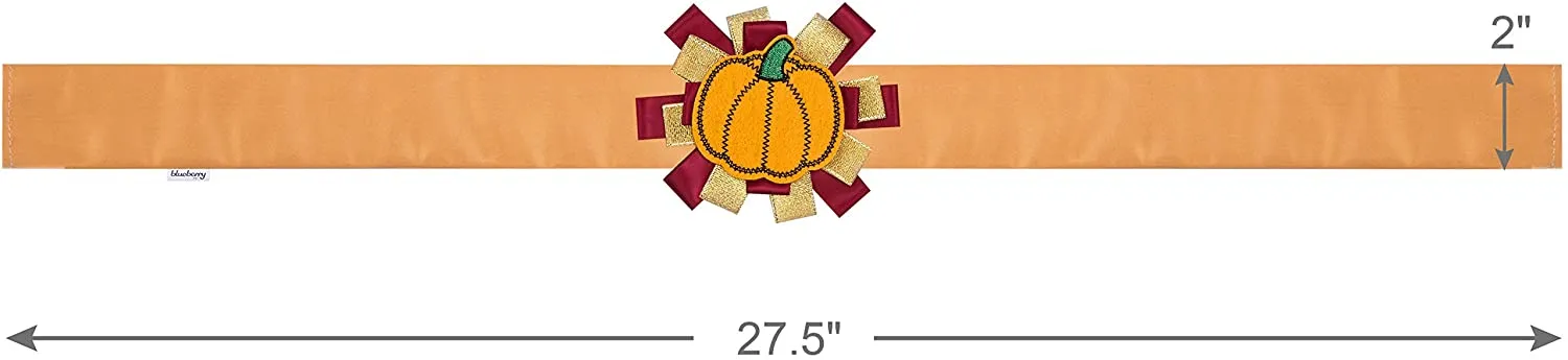 Fall Pumpkin Thanksgiving Dog Collar Cover Accessory