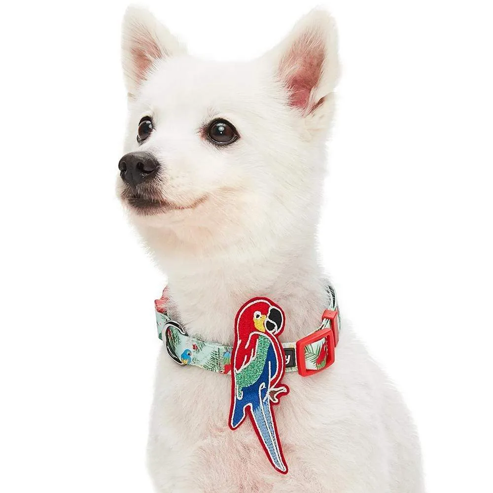 Flamingo Unicorn Dog Collar, Summer Vacation Tropical Hawaiian Palm Leaves Collar