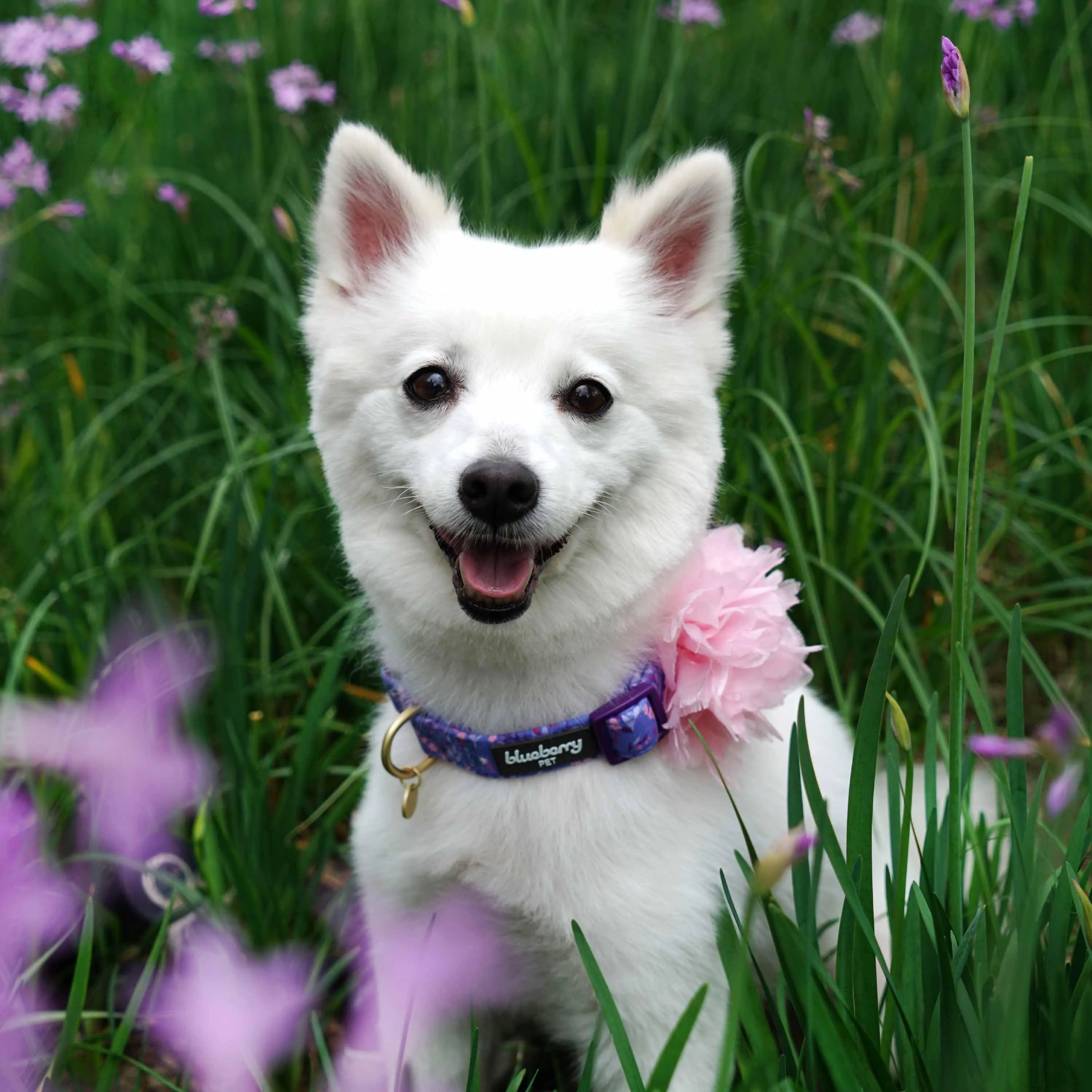 Floral Power Dog Collar with Handmade Detachable Pink Peony