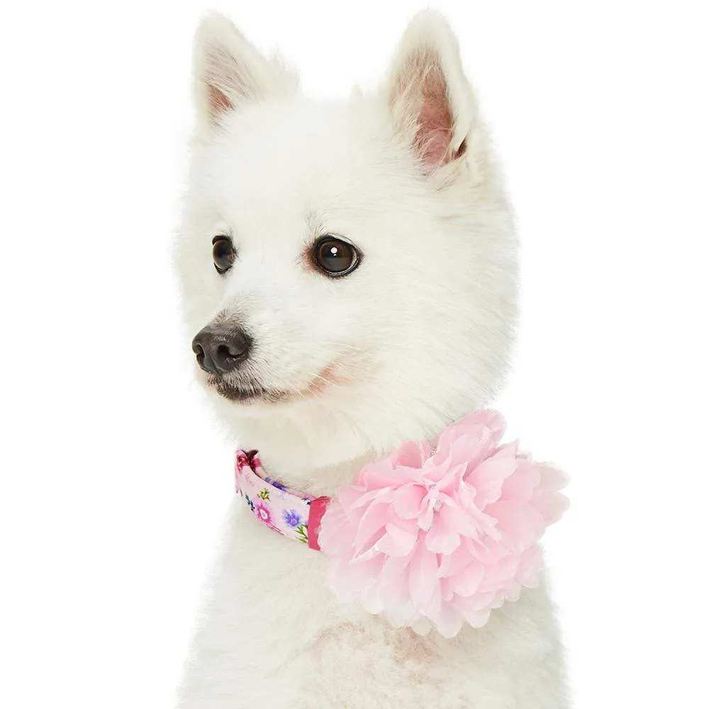 Floral Power Dog Collar with Handmade Detachable Pink Peony