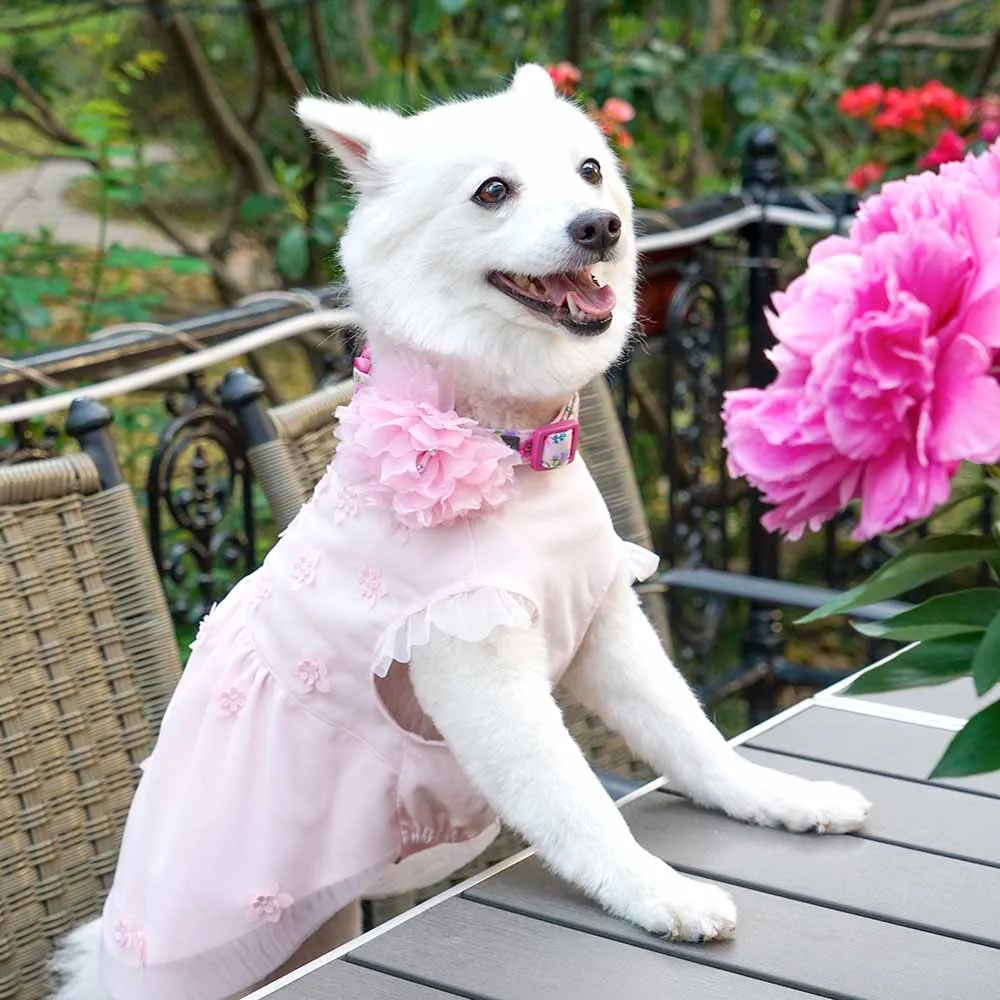 Floral Power Dog Collar with Handmade Detachable Pink Peony