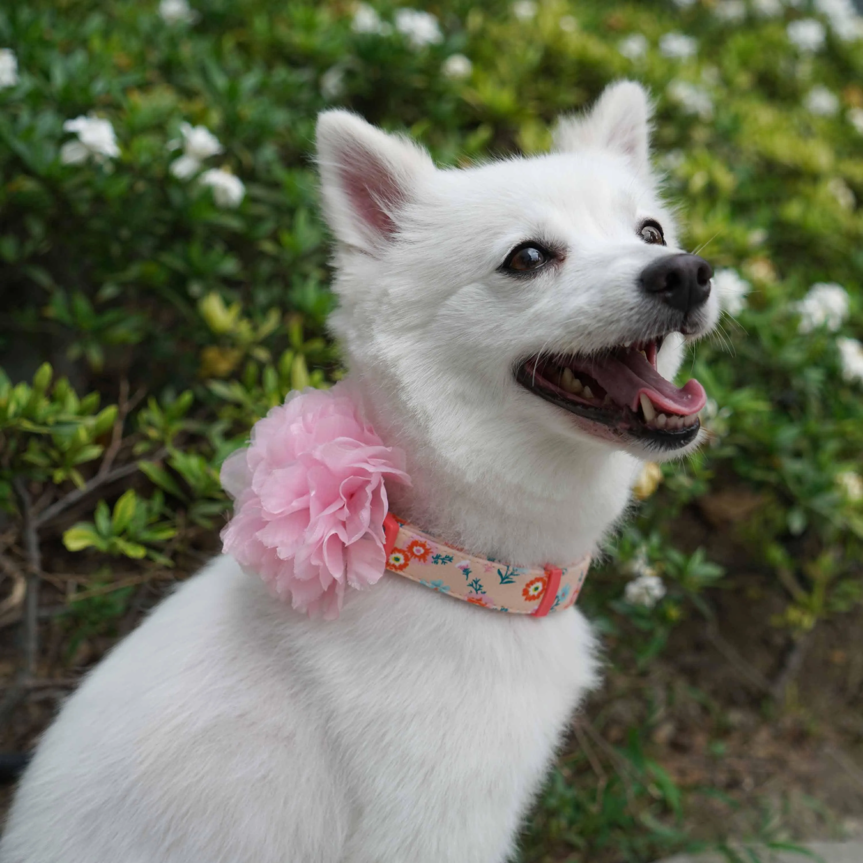 Floral Power Dog Collar with Handmade Detachable Pink Peony