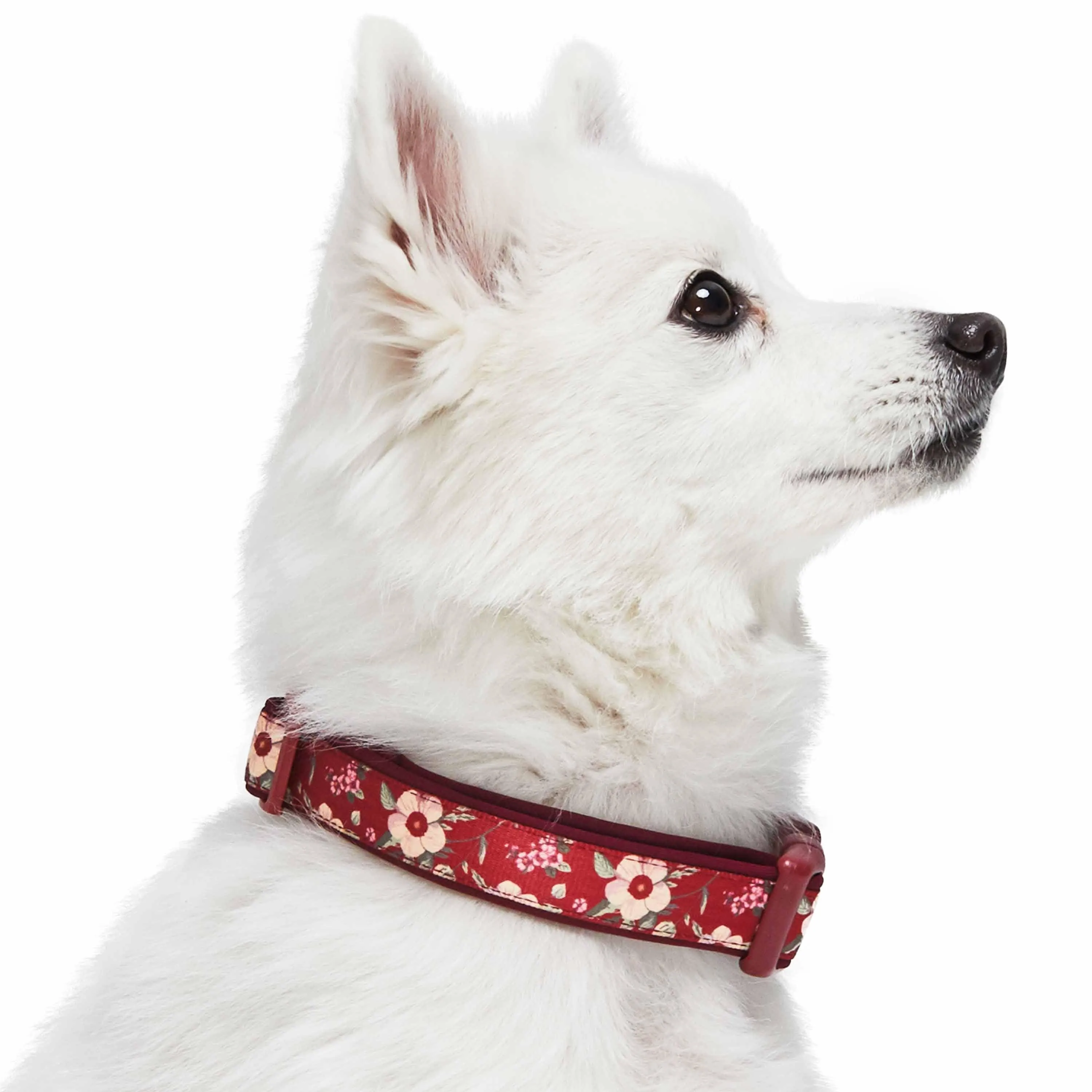 Floral Print Neoprene Padded Dog Collar