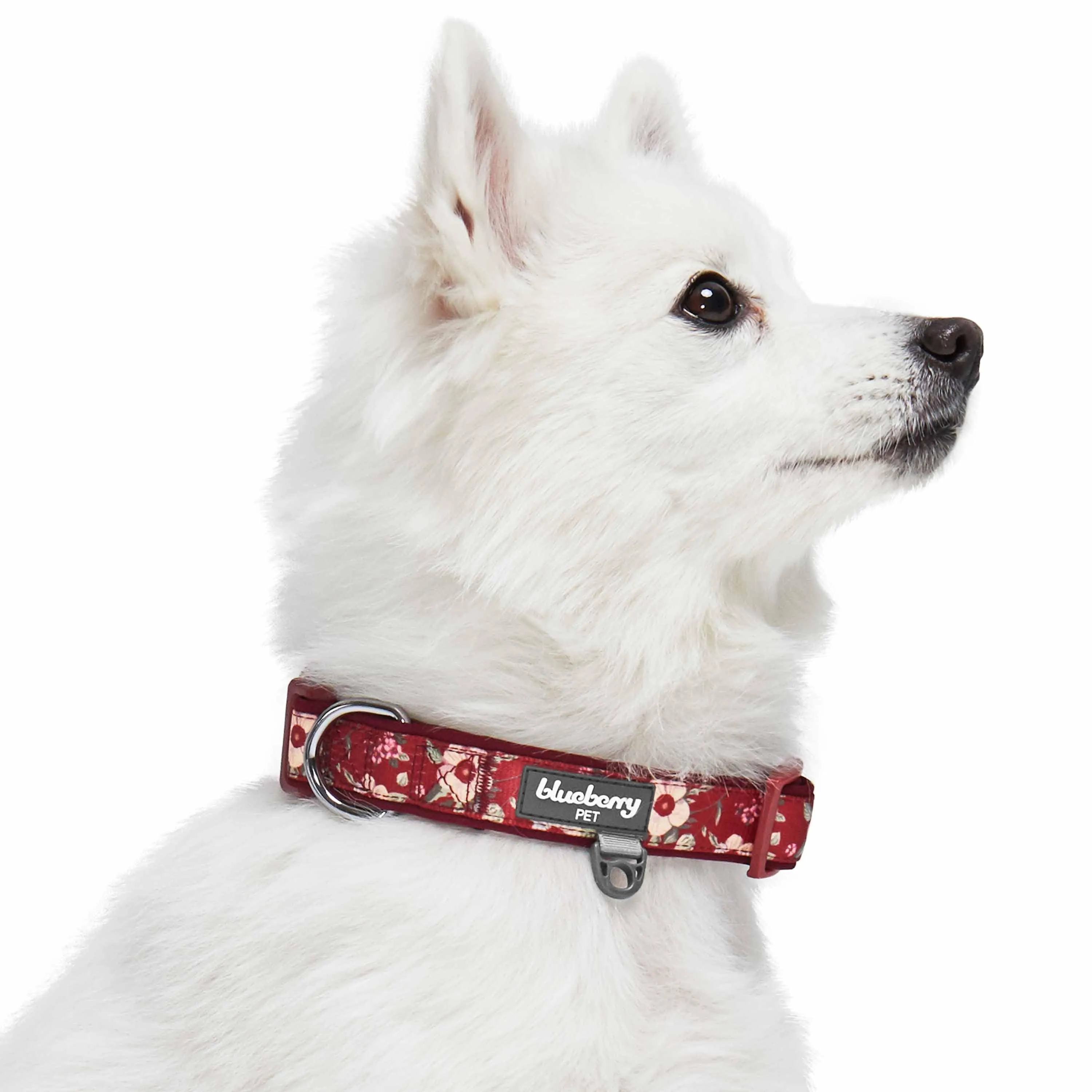 Floral Print Neoprene Padded Dog Collar