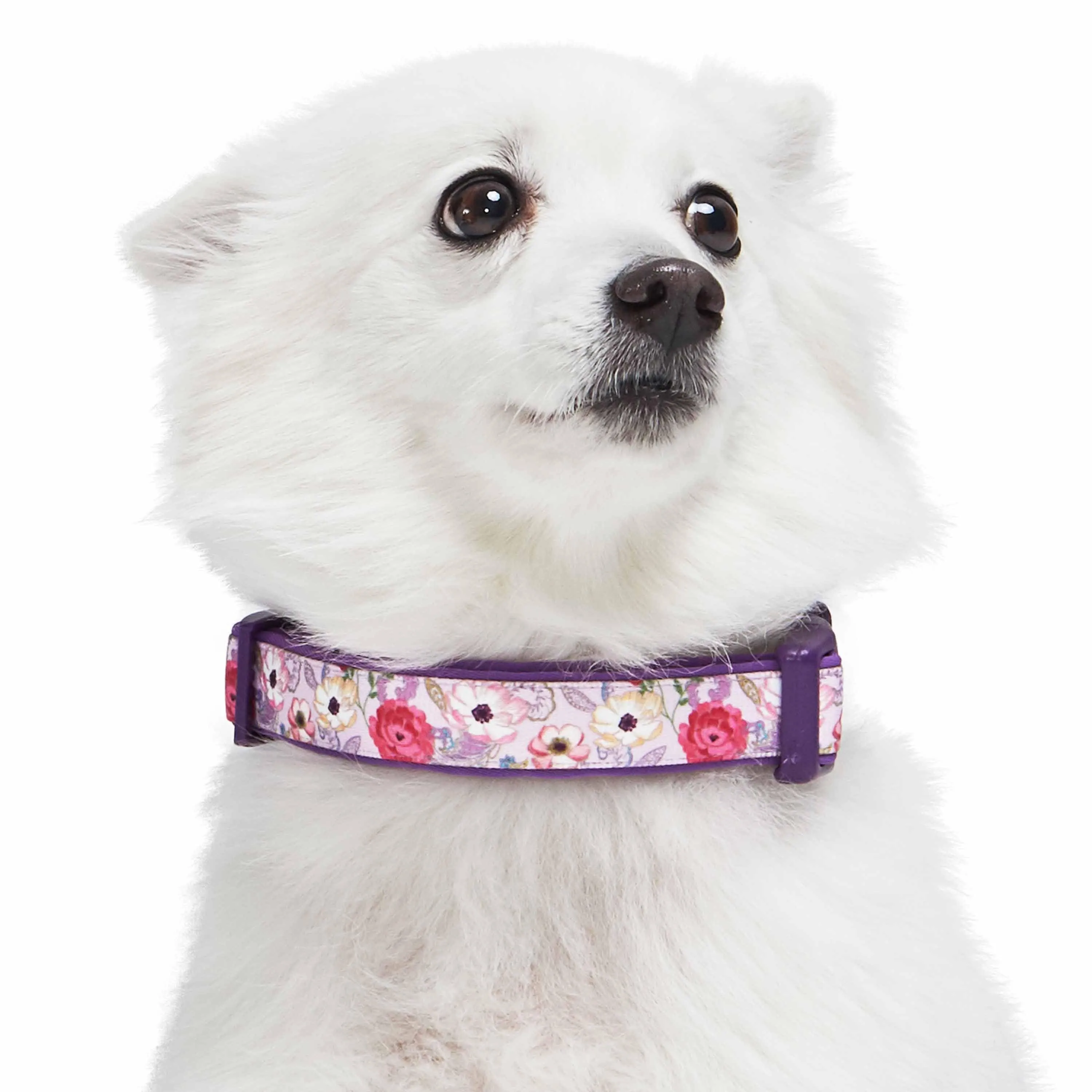 Floral Print Neoprene Padded Dog Collar