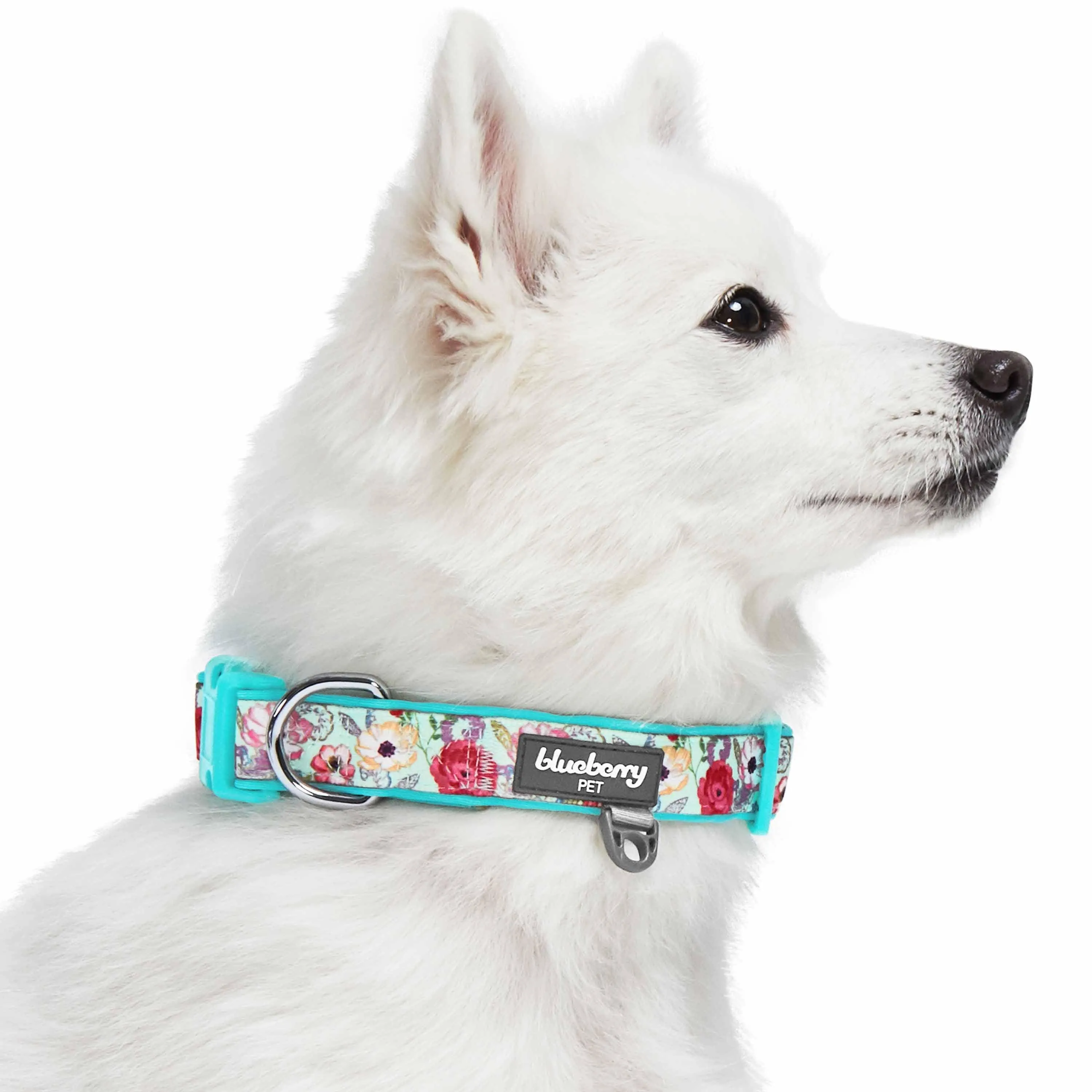 Floral Print Neoprene Padded Dog Collar