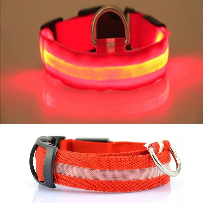 FREE Dog & Cat LED Collar