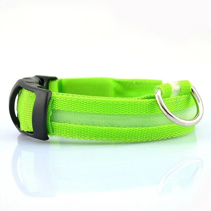 FREE Dog & Cat LED Collar