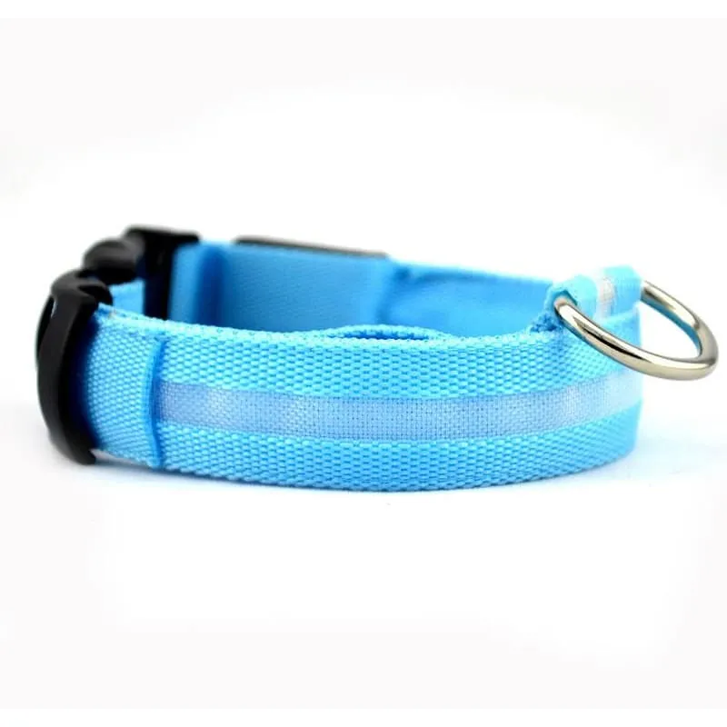 FREE Dog & Cat LED Collar