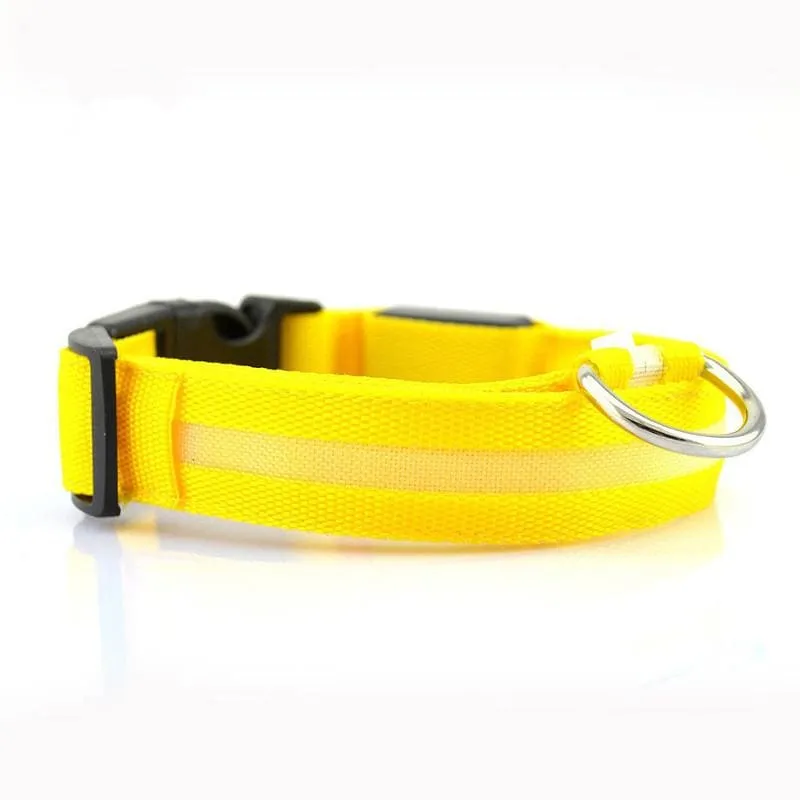 FREE Dog & Cat LED Collar