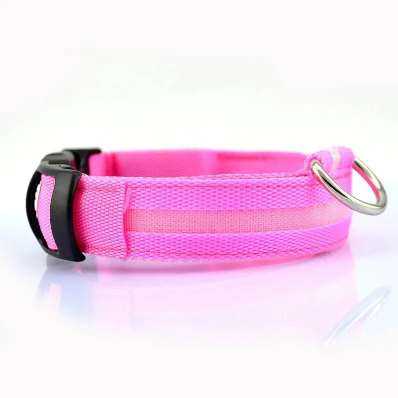 FREE Dog & Cat LED Collar