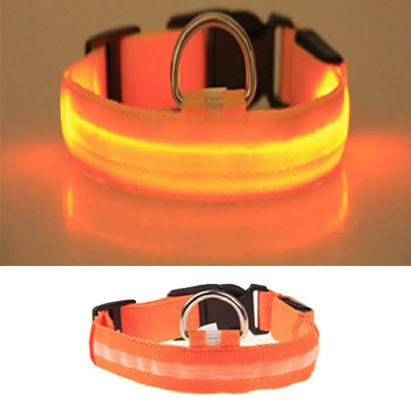 FREE Dog & Cat LED Collar