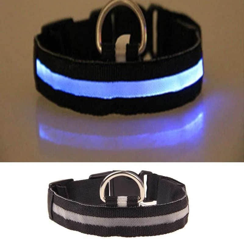 FREE Dog & Cat LED Collar