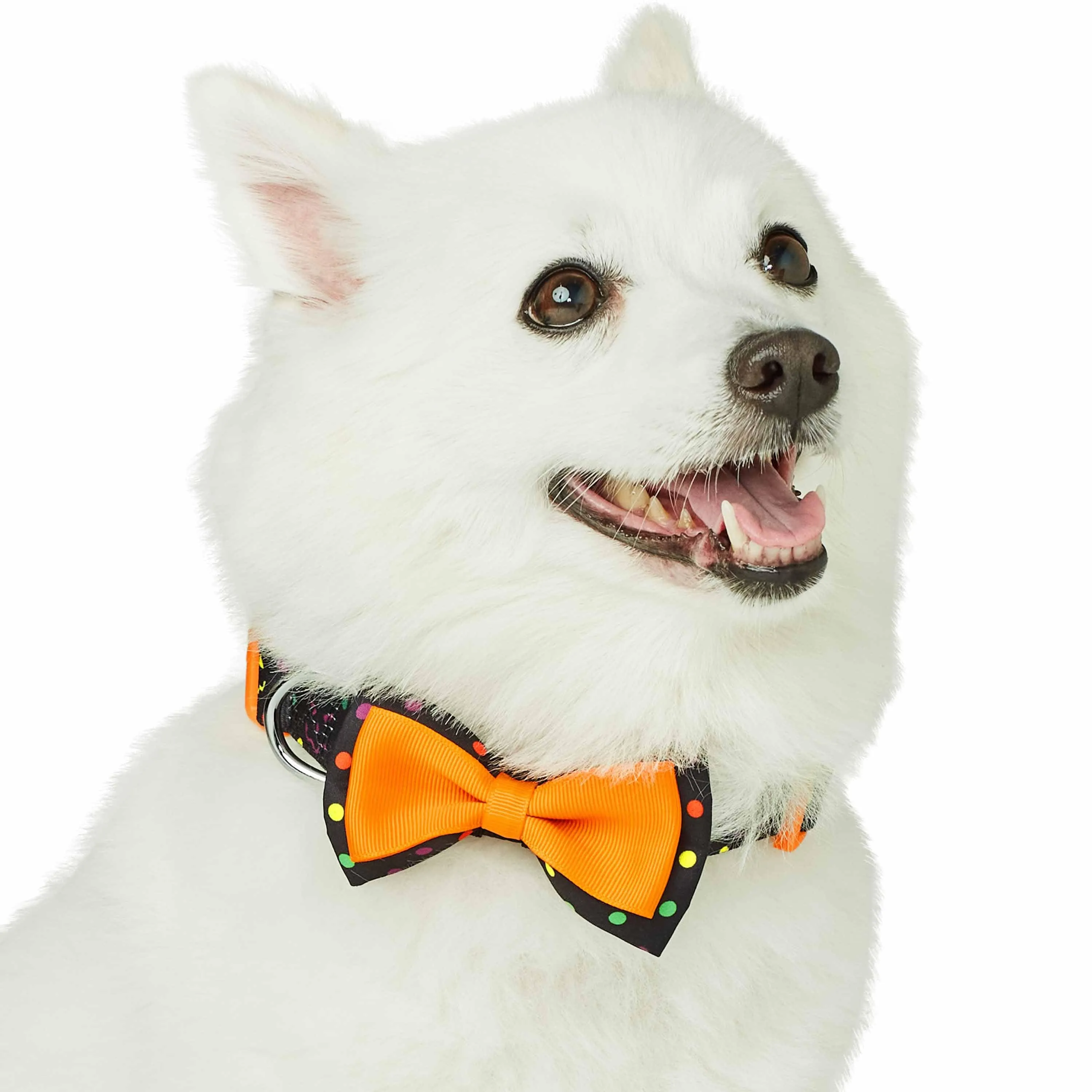 Halloween Polka Dot Dog Collar