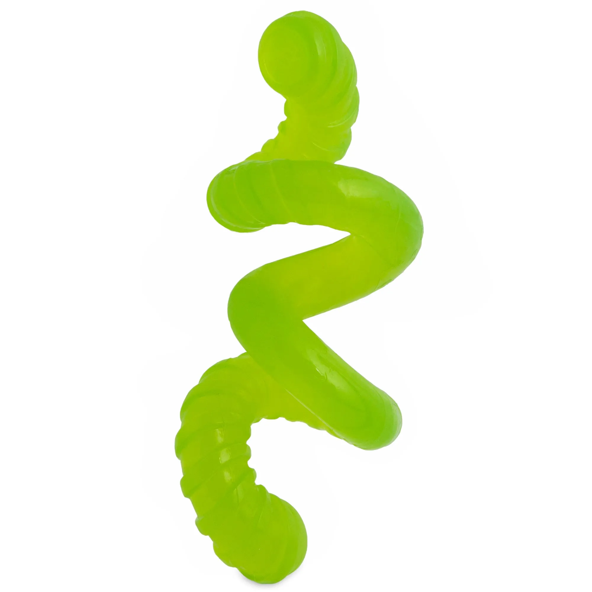 JW Gumm-EE Worm Dog Toy