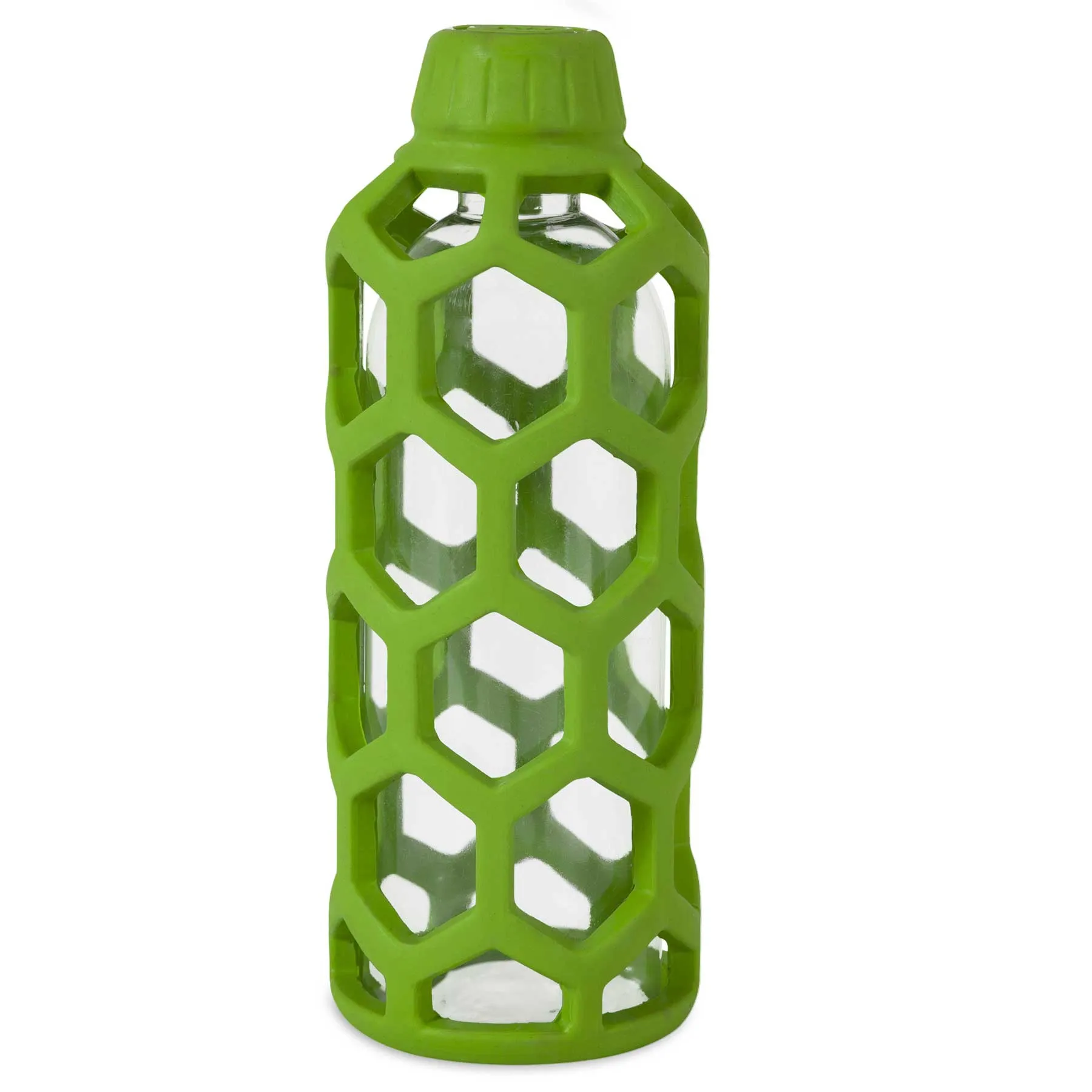 JW Hol-ee Water Bottle Dog Toy