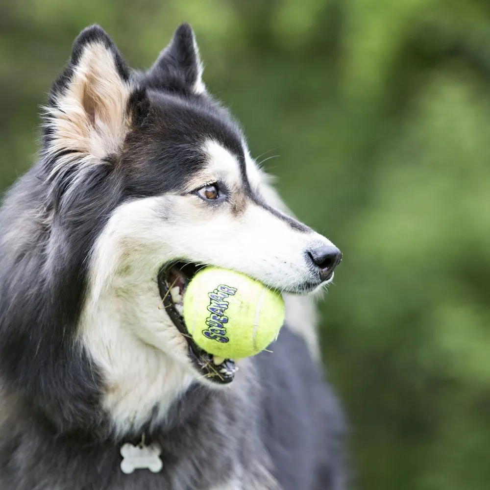 KONG® SqueakAir® Medium Tennis Ball