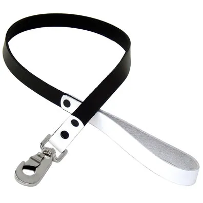 Leather Leash