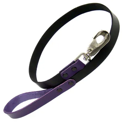 Leather Leash