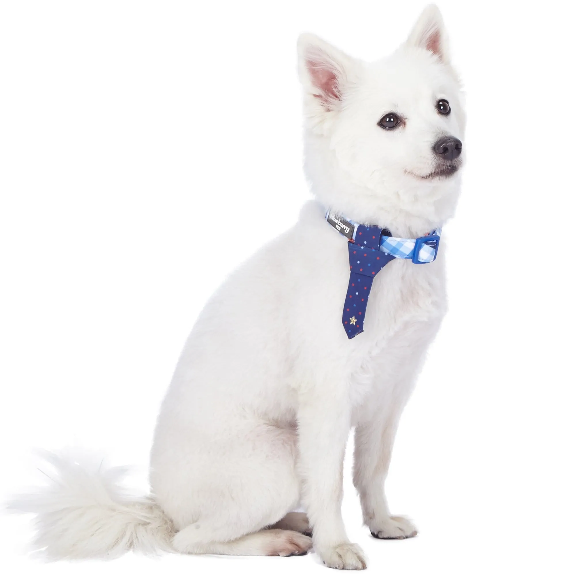 Multiple Hues Scottish Dog Collar with Tie