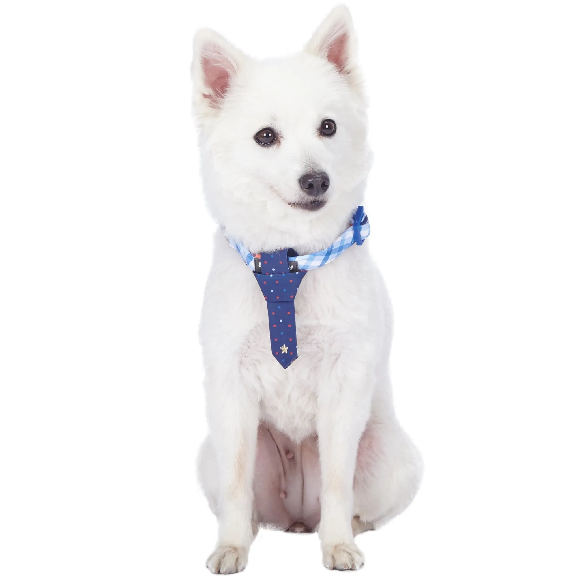 Multiple Hues Scottish Dog Collar with Tie