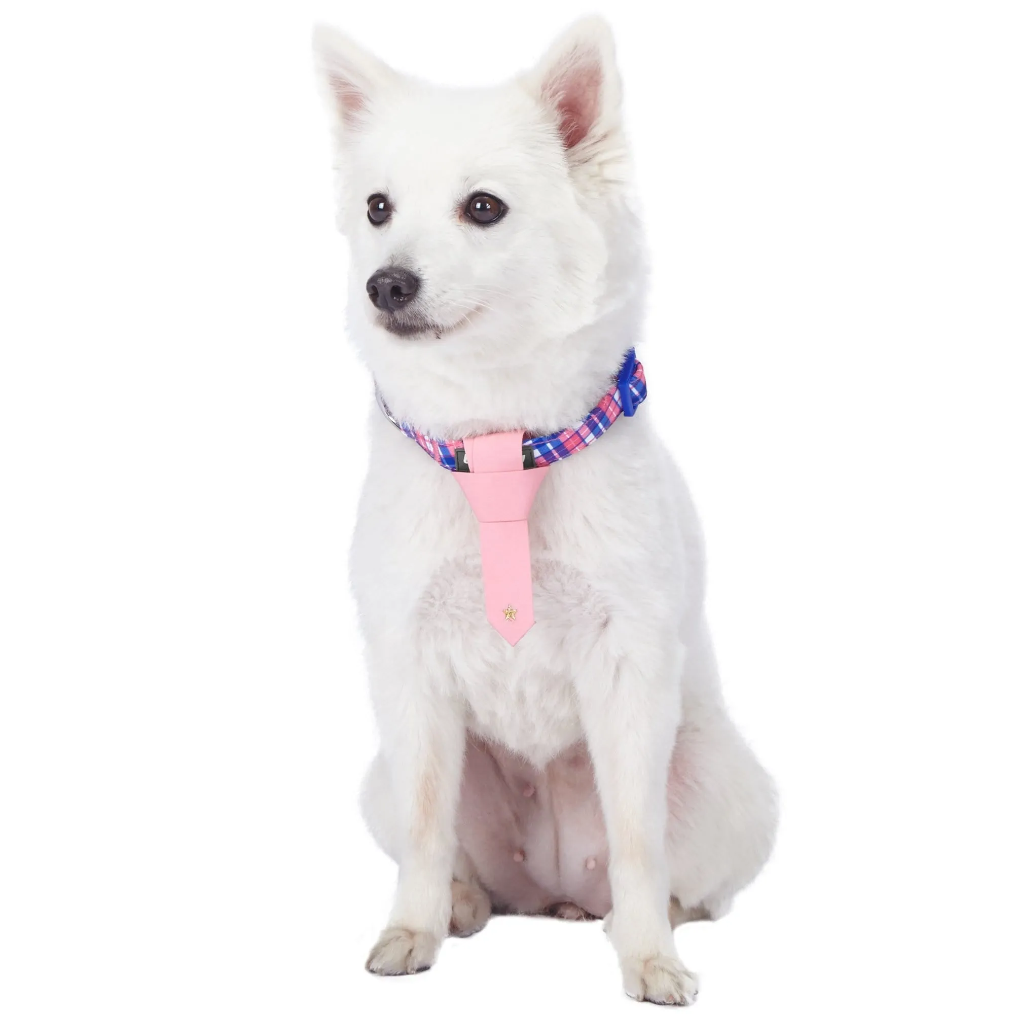 Multiple Hues Scottish Dog Collar with Tie